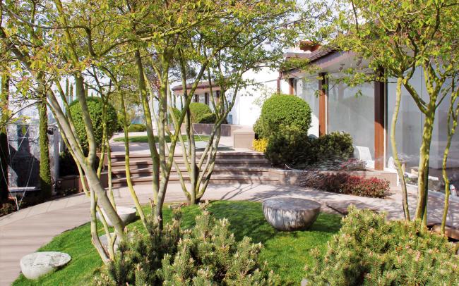 Roof garden with lawn, perennials, shrubs and small trees